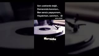 𝑺𝒆𝒏 𝑼𝒛𝒂𝒌𝒍𝒂𝒓𝒅𝒂 𝑫𝒆ğ𝒊𝒍𝒔𝒊𝒏 𝑫𝒂𝒎𝒂𝒓ı𝒎𝒅𝒂 𝑲𝒂𝒏ı𝒎𝒔ı𝒏 𝑲𝒂𝒓𝒂𝒐𝒌𝒆