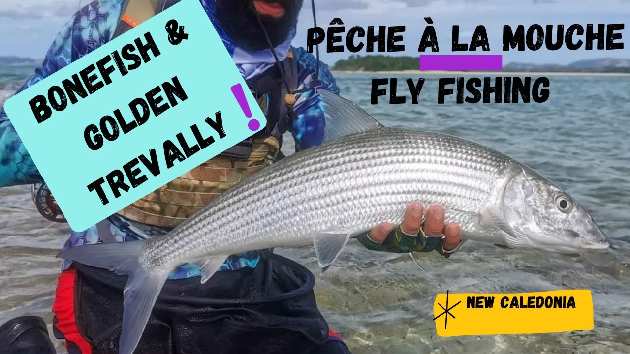 Flats Flyfishing - Amazing bonefish and golden trevally