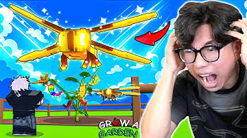 BI HUỲNH THỬ MỞ 100 QUẢ TRỨNG BẤT NGỜ GẶP LỖI VÀ MẤT PET DRAGONFLY 1% TRONG GROW A GARDEN