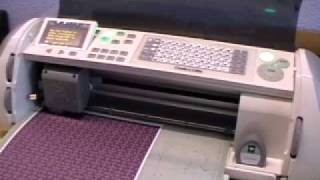 Episode 4 Cricut tutorial Autofill, Portrait, Set paper size and Quantity.mp4