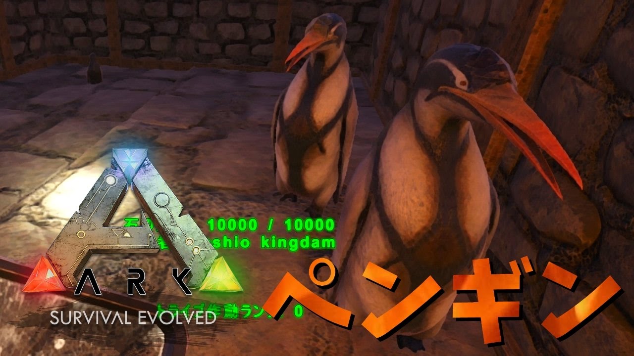 可愛いペンギンを捕まえよう Part22 Ark Survival Evolved The Center Pvp Youtube 可愛いペンギンを捕まえよう Part22 Ark Survival Evolved The Center Pvp Youtube