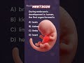 HUMAN REPRODUCTION I BIOLOGY PYQ I NEET