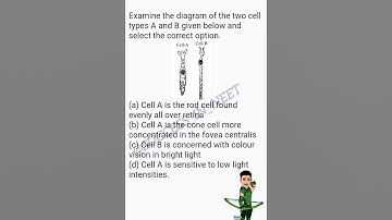 Neural control and coordination PYQ - Neet Aiims MCQ #neet #bio #neetbiology #aiims #neet2024 #ncert