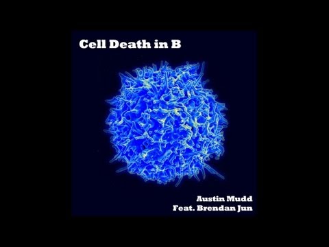 Cell Death in B