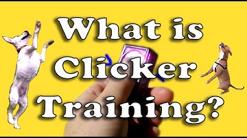 What is Clicker Training?