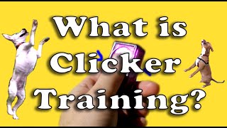 What is Clicker Training?