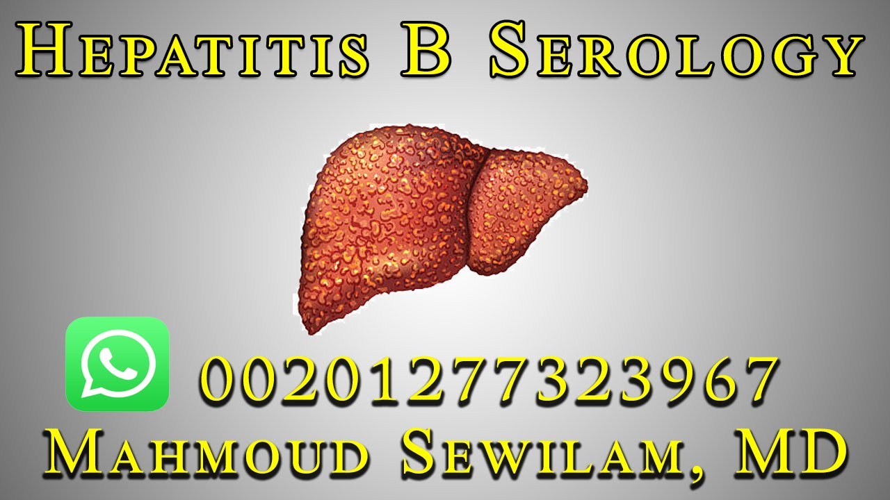 شرح د سويلم Hepatitis B serology