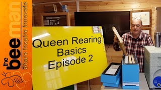 Queen Rearing From The Very Beginning Part 2