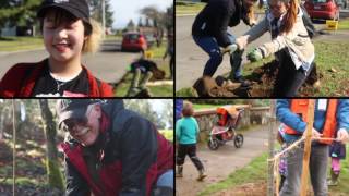 Who Said Planting A Tree Is Simple?