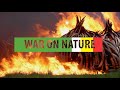 War on nature  uganda