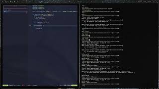 Celebrity Writing a Text Editor in Pure C at 15 Net Worth