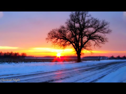 La música clásica conecta el corazón y el alma - Vivaldi, Mozart, Beethoven, Bach,Chopin,Tchaikovsky