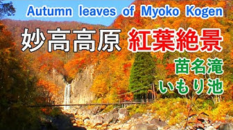 妙高高原 Youtube 妙高高原 Youtube