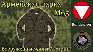 Парка м65 австрийской армии / Программа 