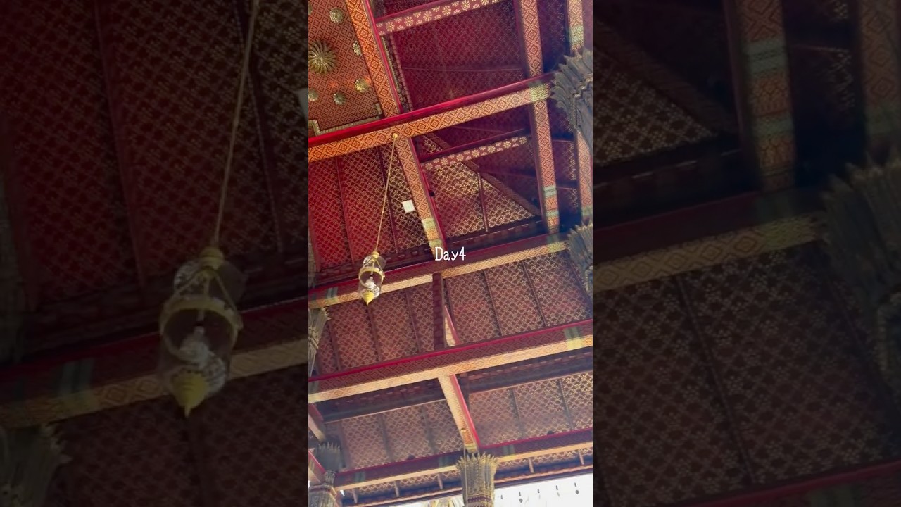最高のひとり旅🐘後編！