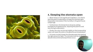 Climatology assignment Group 3 Sub group 4 PowerPoint video presentation 2024