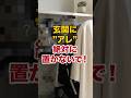 要注意!玄関に”コレ”はNG