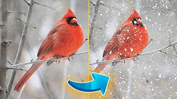 How to Add Realistic Rain or Snow Effects in Photoshop – Weather Effect Tutorial!