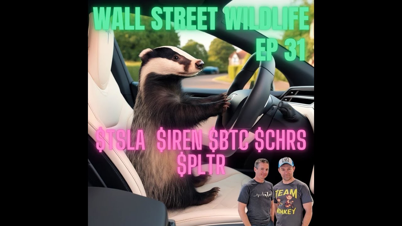E31: Tech Tangles and Ethical Angles: Navigating the Investment Jungle with Tesla Palantir & Bitcoin