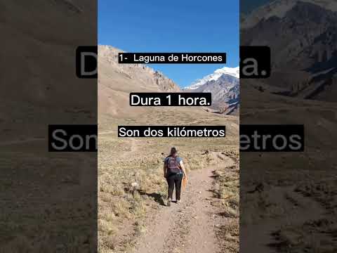 Te contamos las