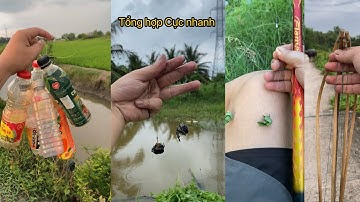 TTA | Tôi thữ Câu cá bằng Rau muốn Và ốc bưu vàng | thả câu chai và cắm cá lóc