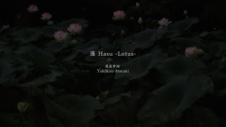 蓮Hasu -Lotus- Yukihiro Atsumi (Japanese Guitar) 渥美幸裕
