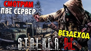 🔴СТРИМ | ПООБЩАЕМСЯ? ПВЕ СЕРВЕР | СТАЛКЕР DAYZ