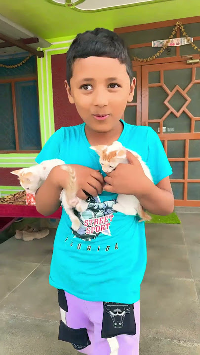 Theekuchi ❤️🥰 cat lover 😾#shorts #viral #funny #cat #shortvideos #trending