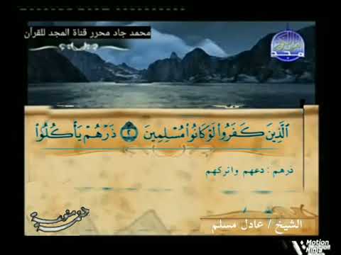 حسنين مخلوف 2 الشيخ عادل مسلم قناة المجد للقران الكريم