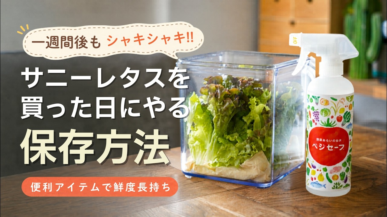 サニーレタスを買った日にやる保存方法