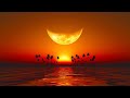 Relaxing Music 24/7, Sleeping Music, Meditation, Stress Relief Music, Zen, Calm Music, Study, Spa