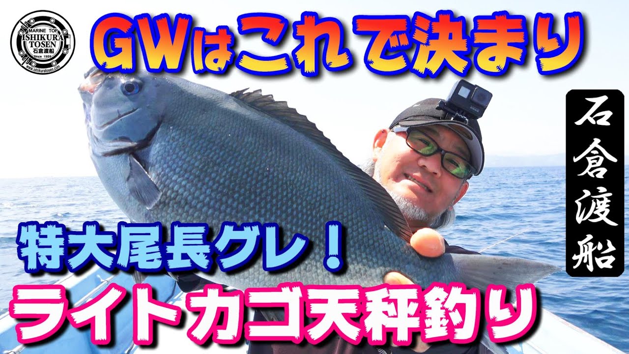 GWはこれで決まり！大型グレ連発！【カゴ釣りがおもしろい】