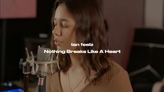 tan feelz - nothing breaks like a heart (acoustic cover)