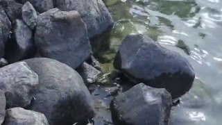 Lac La Belle Lake House for Sale | 260 Monastery Hill Dr. Oconomowoc, WI