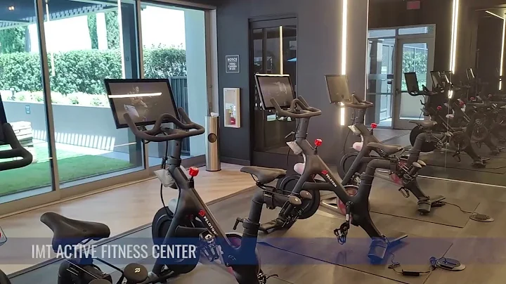 IMT Gallery 421 Video Tour