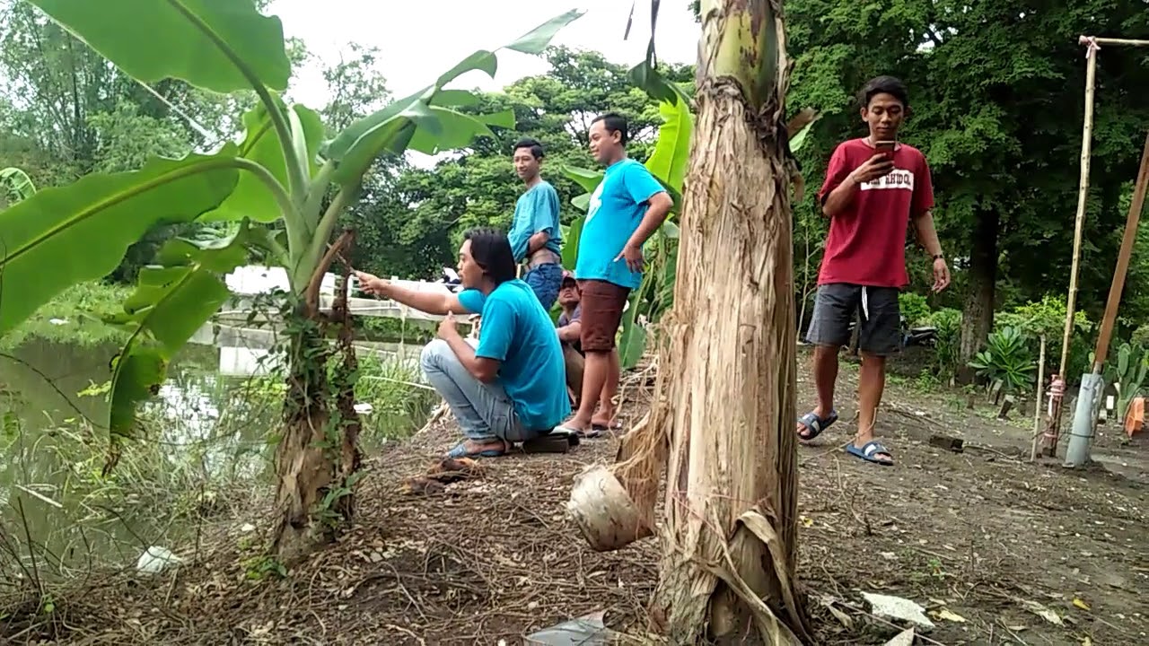 Cara Mancing Ikan Biar Dapat Banyak YouTube cara-mancing-ikan-biar-dapat-banyak-youtube