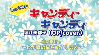 キャンディキャンディ堀江美都子歌ってみた曲に乗せて我が家の愛猫を紹介します