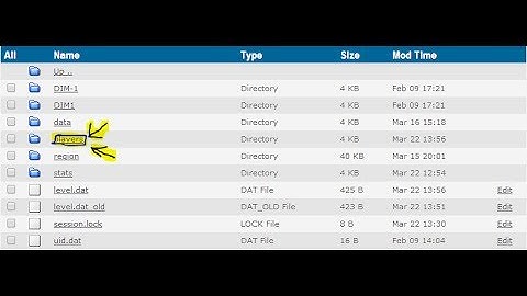 [Tutorial] Hoe verwijder je jou playerdata op je minecraft server?