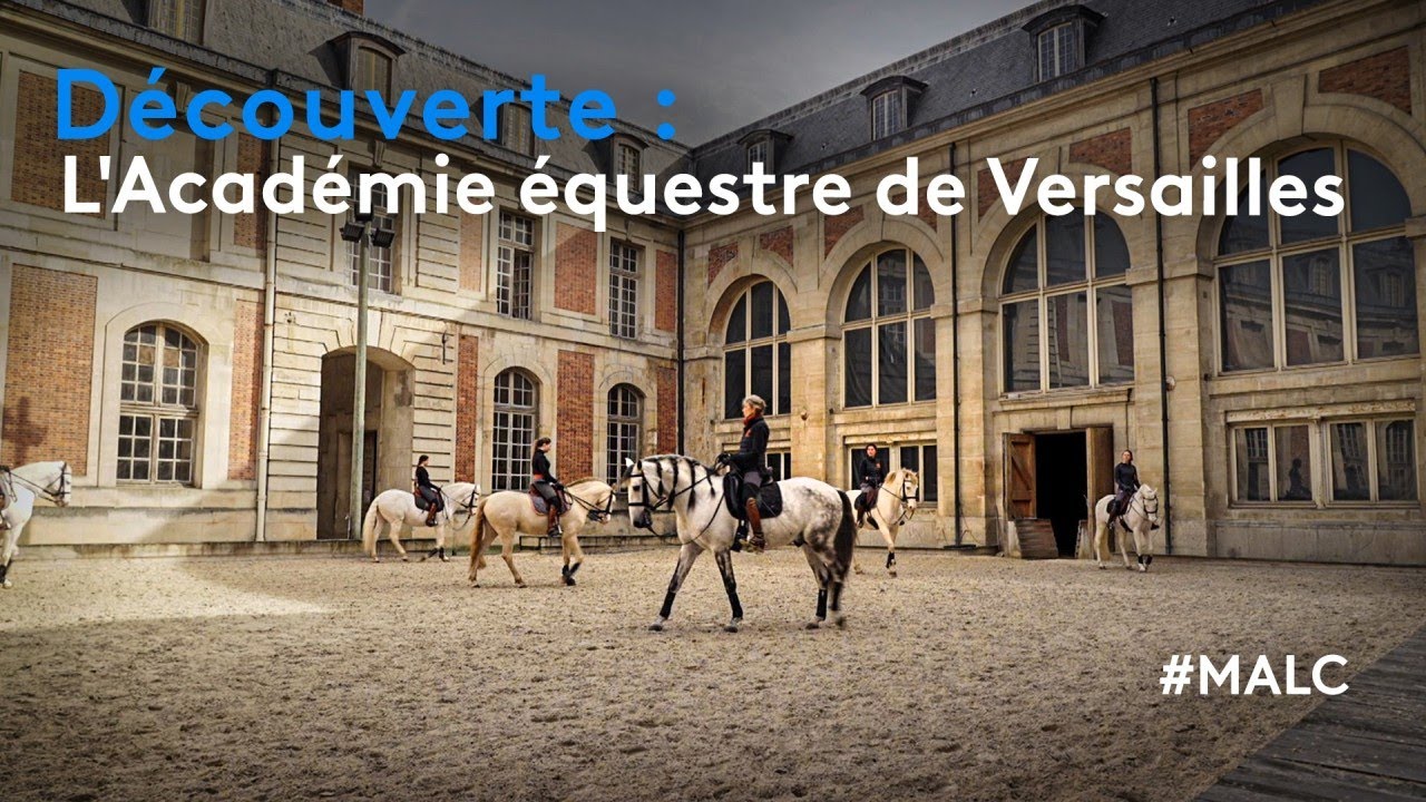 Logo Accademie De Versailles Pour Page De Garde Ccf Découverte : l'Académie équestre de Versailles - YouTube