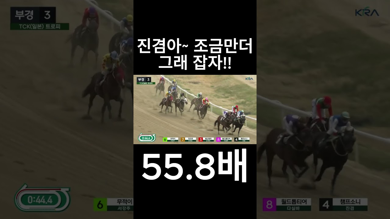 진겸아~ 조금만더  잡자  #경마  #경마예상  #경마방송  #경마예상방송  #서울경마  #금요경마  #토요경마  #일요경마 #경마장