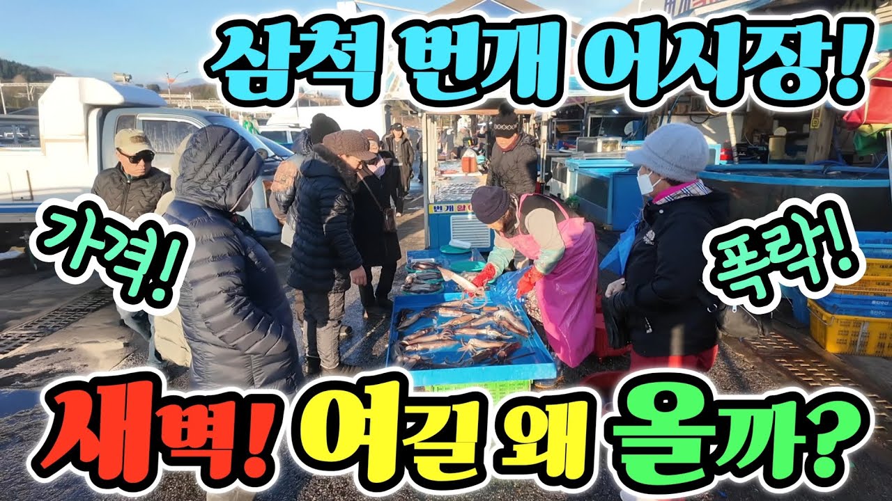 삼척 번개 어시장 아침 7시 여길 왜올까? 떠리 가성비 한가득! 딱 5시간 영업 끝? 진짜 막퍼줘! korean fish market channel 