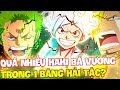 BĂNG HẢI TẶC CÓ NHIỀU BÁ VƯƠNG NHẤT?! | NHỮNG BĂNG HẢI TẶC CHỈ TOÀN HAKI BÁ VƯƠNG