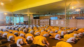 NIKAYA Thiền Quán - Giải Mã Luân Hồi