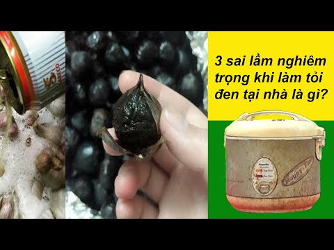 3 sai lầm khi tự làm tỏi đen tại nhà bạn nên tránh ngay! 3 mistakes when making black garlic at home