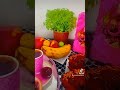 ست الحبايب يا حبيبه
