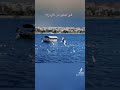 مدينة العقبه الاردن