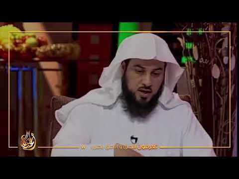 الوهابي العريفي في إكتشاف سابق لعلماء الغرب بول وغائط الإبل طاهر ويجوز الصلاة في مرابضها