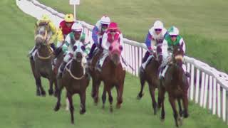 Vidéo de la course PMU PRIX DES CANTIQUES