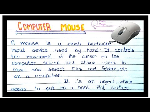 computer mouse essay