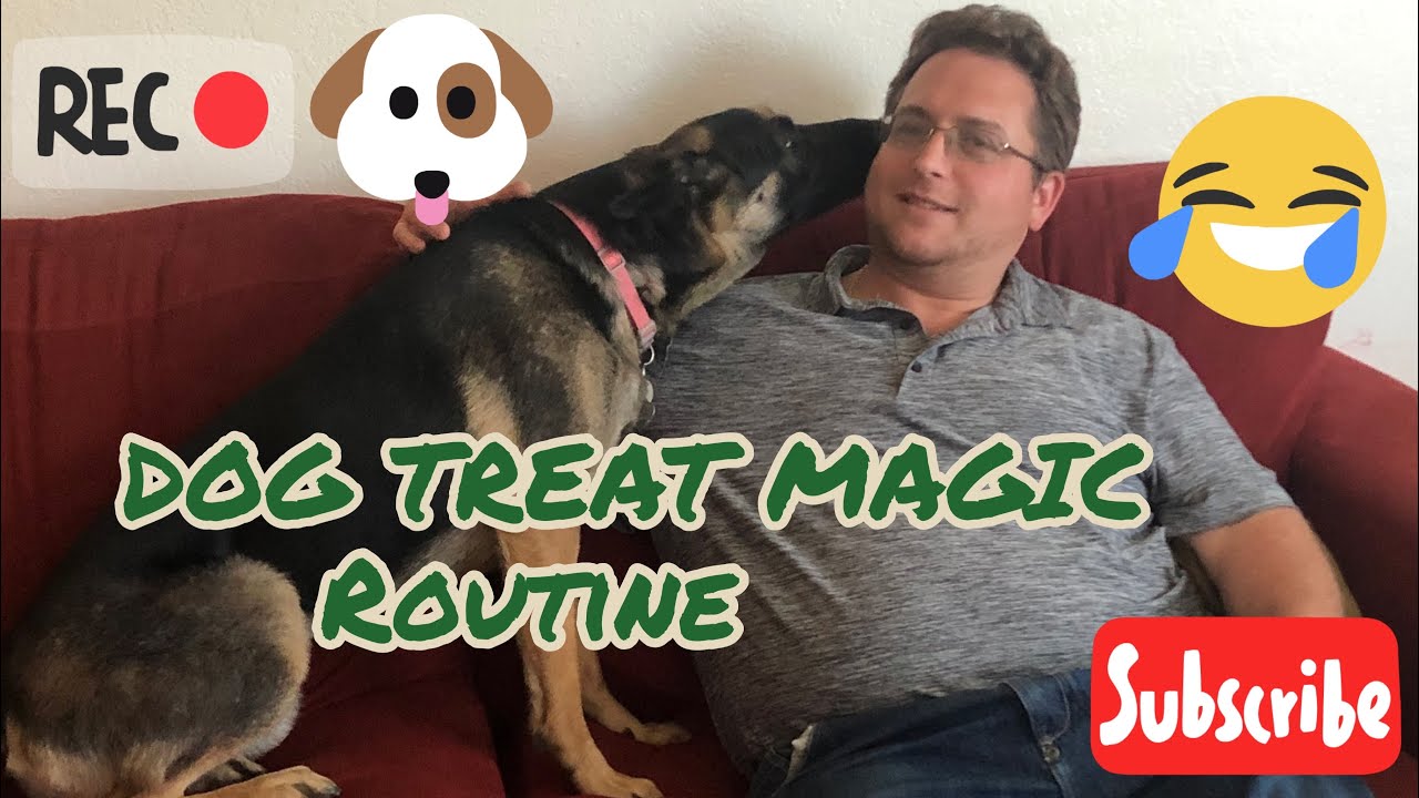 Dog reacts to magic trick YouTube
